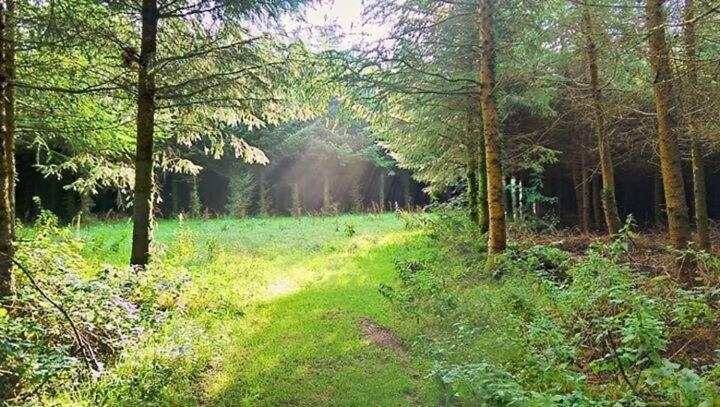 Lobhill Farmhouse Bed And Breakfast And Self Catering Accommodation Okehampton Chambre photo
