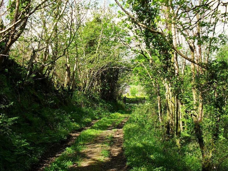 Lobhill Farmhouse Bed And Breakfast And Self Catering Accommodation Okehampton Chambre photo